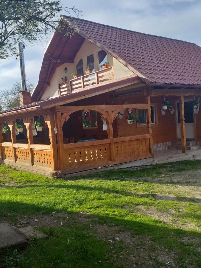 Casa Alina Breb Guest House Luaran gambar