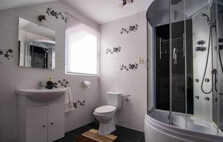 Casa Alina Breb Guest House Luaran gambar