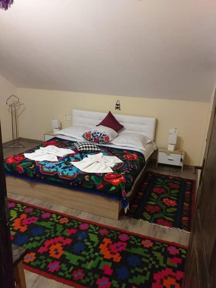 Casa Alina Breb Guest House Luaran gambar